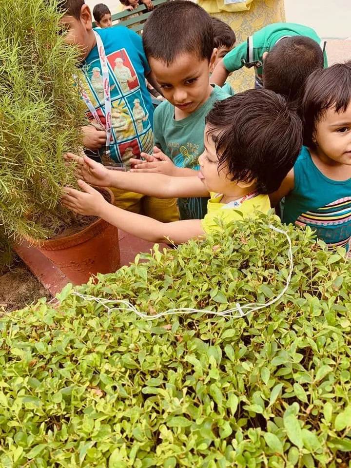 Wonderscape Summer Camp by Kids Kingdom Pre-school (26 May - 27 Jun) | Sector 49 Gurgaon - ActivityKidz