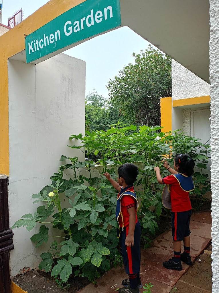 Mothers’ Mount Preschool | Sector 24 Gurgaon - ActivityKidz