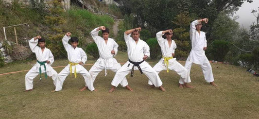 R.K. Sports Martial Arts Academy for Karate Training | Sector 21 Gurgaon - ActivityKidz