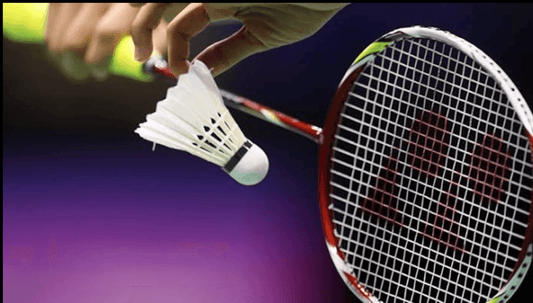 Shahan Badminton Academy | DPSG School Sector 43 Gurgaon - ActivityKidz