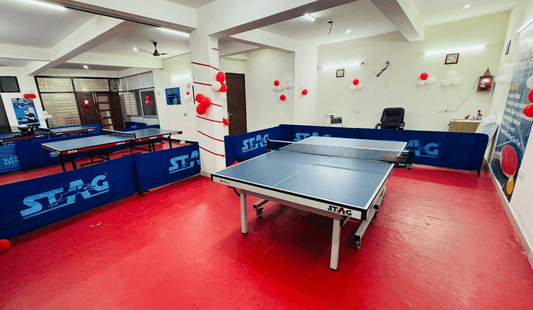 3D Table Tennis Academy | Near Swiss Cottage School Sector 23 Gurgaon - ActivityKidz