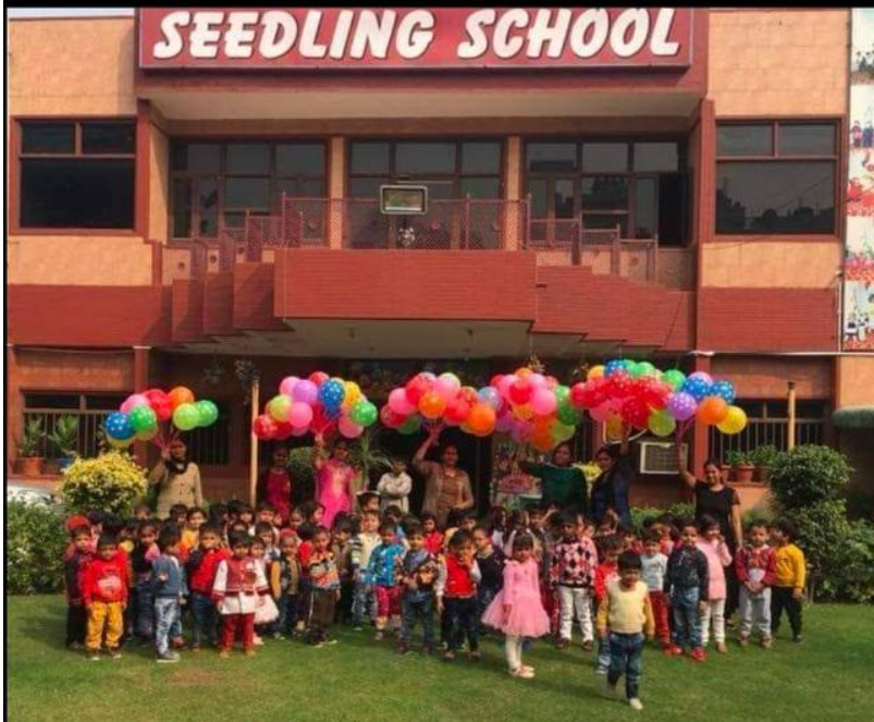 Summer Camp by Seedling School (30 May - 19 Jun) | Rohini Delhi