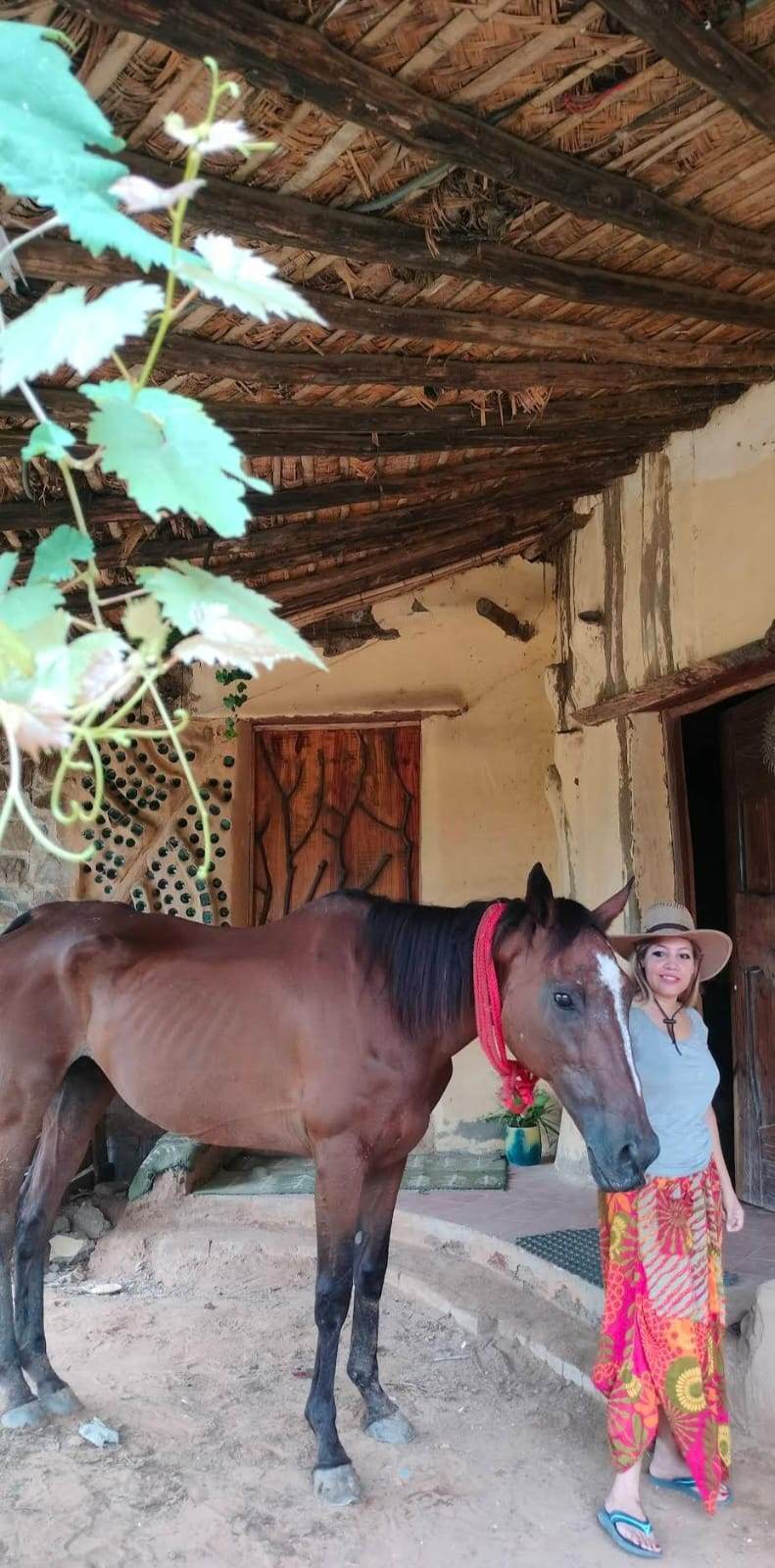 Tuk Tuk Gilhari Animal Petting Farm | Kadarpur Gurgaon - ActivityKidz