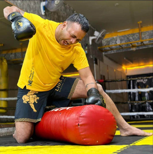 Lion's Den Fight Club for MMA Boxing Kickboxing Training | Sector 23 Gurgaon - ActivityKidz