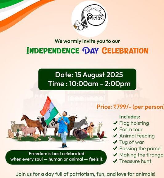 Independence Day at Tuk Tuk Gilhari (15-Aug) | Kadarpur Gurgaon