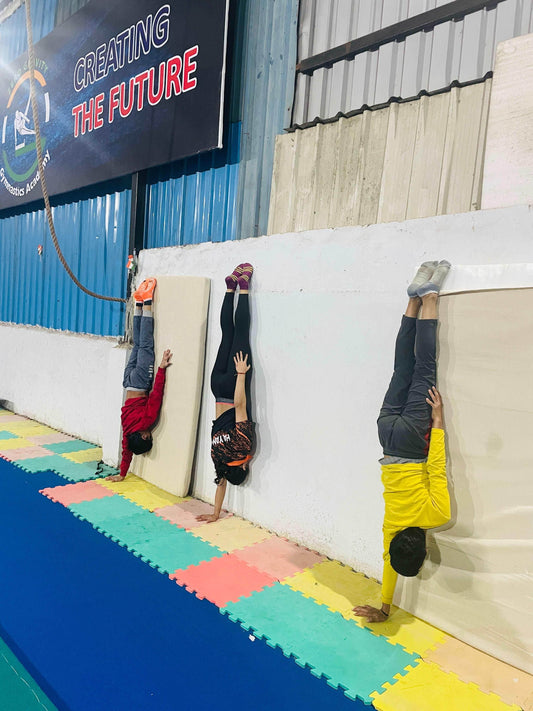 Zero Gravity Gymnastics | Near Esplanade Mall Sector 37 Gurgaon - ActivityKidz