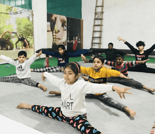 Zero Gravity Gymnastics | Near Sadar Bazar Sector 11 Gurgaon - ActivityKidz