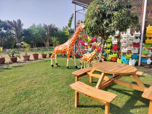 Zootopia - The Funyard Animal Petting Farm | Sector 58 Gurgaon