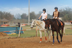 Horse Riding Classes