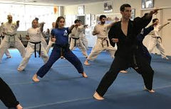 Martial Arts Academies