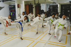 Mixed-Martial Art Academies