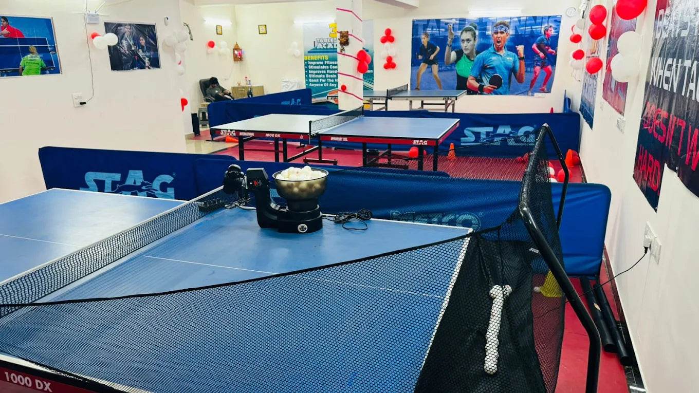 3D Table Tennis Academy | Near Swiss Cottage School Sector 23 Gurgaon - ActivityKidz