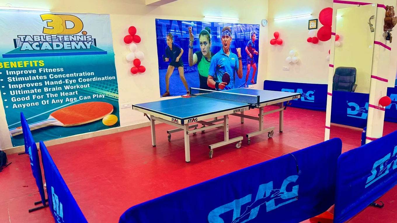 3D Table Tennis Academy | Near Swiss Cottage School Sector 23 Gurgaon - ActivityKidz
