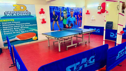 3D Table Tennis Academy | Near Swiss Cottage School Sector 23 Gurgaon - ActivityKidz