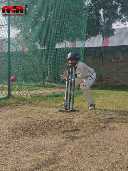 ACA Centre of Excellence for Cricket | Palam Vihar Gurgaon