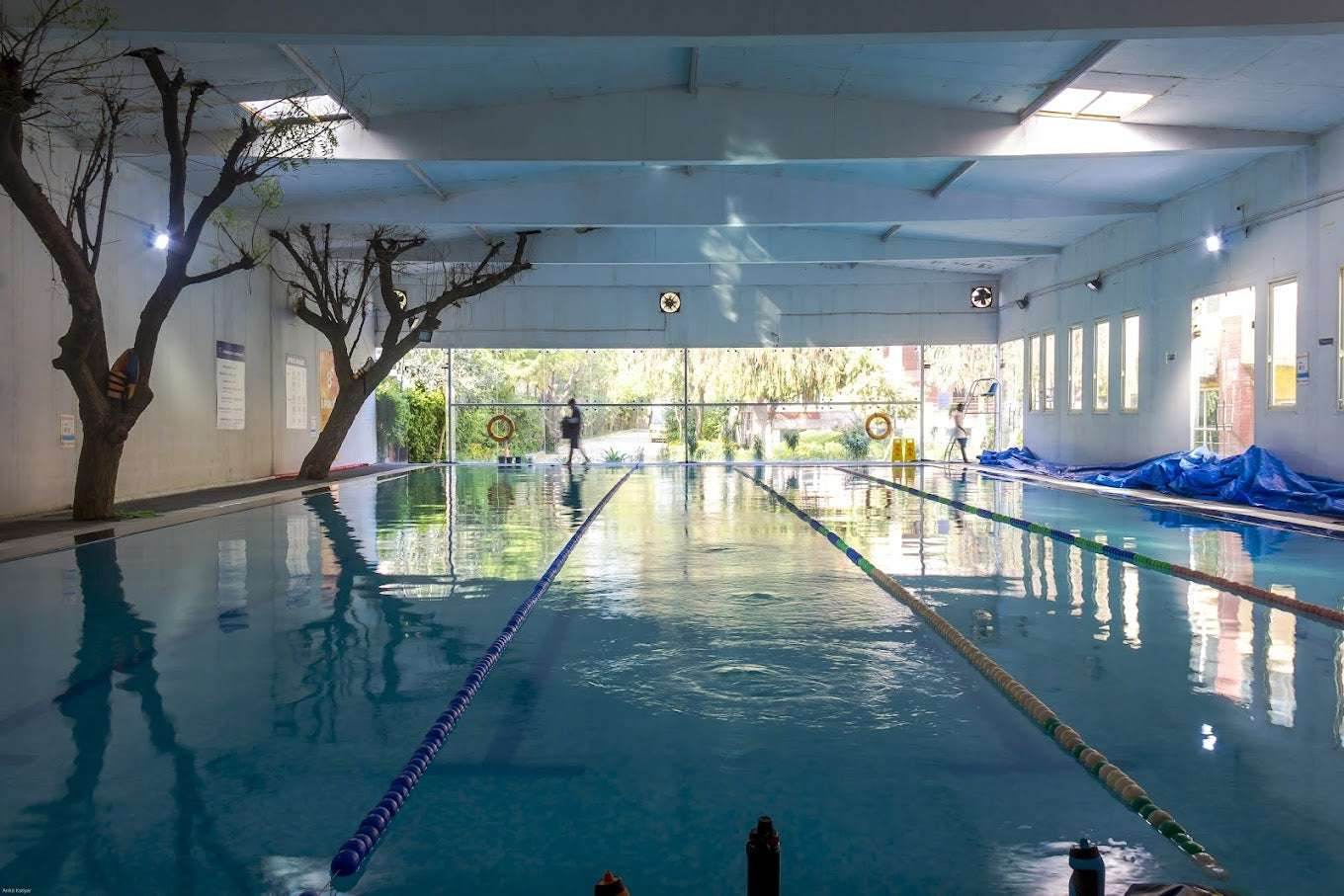 Acquastrokes Swim School for Kids & Teens | Sector 43 Gurgaon - ActivityKidz