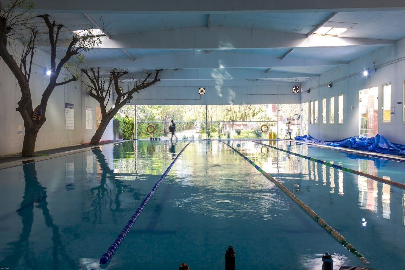 Acquastrokes Swim School | Sector 43 Gurgaon