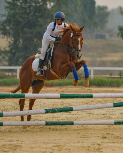 Adagio Riding Stables | Horse Riding | Near Pathways School Gurgaon - ActivityKidz