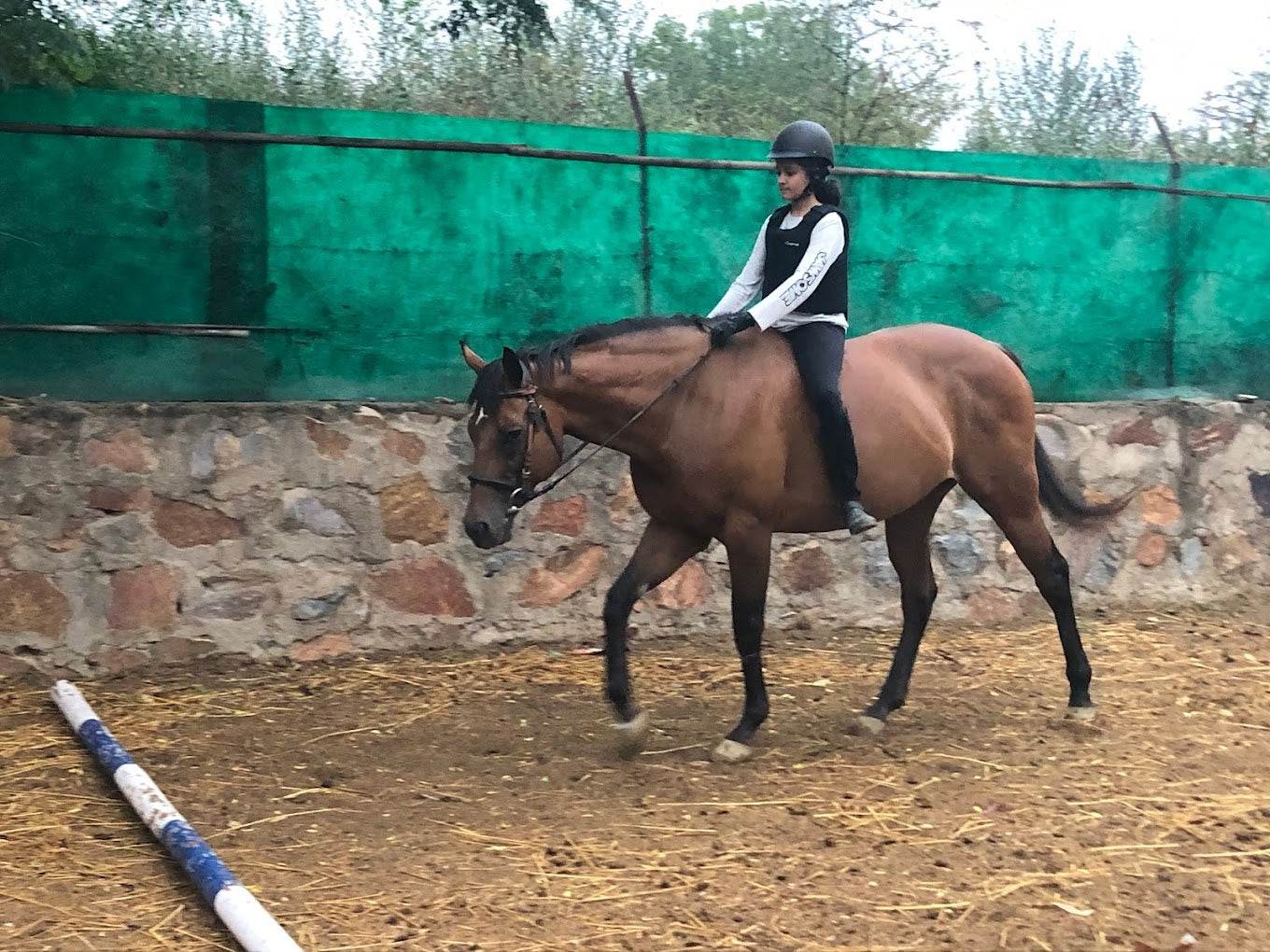 Adagio Riding Stables | Horse Riding | Near Pathways School Gurgaon - ActivityKidz