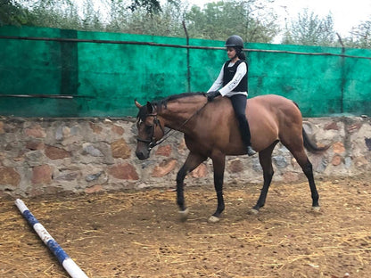 Adagio Riding Stables | Horse Riding | Near Pathways School Gurgaon - ActivityKidz