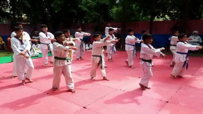 Ajay Taekwondo Association for Martial Arts Training | Sector 110 Gurgaon