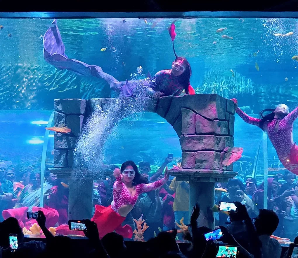 Aquarium Paradise Bengaluru