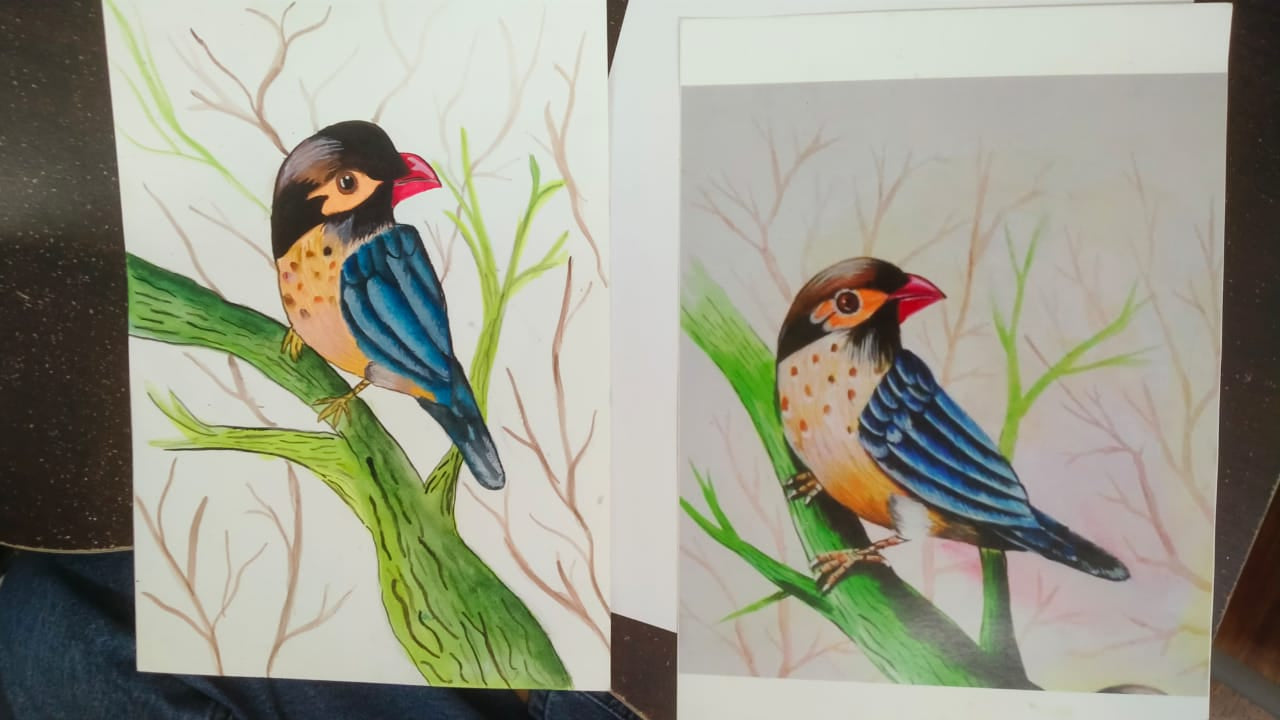 Arya Art and Craft Classes Sector 4 Gurgaon