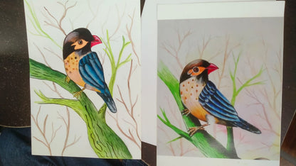 Arya Art and Craft Classes Sector 4 Gurgaon
