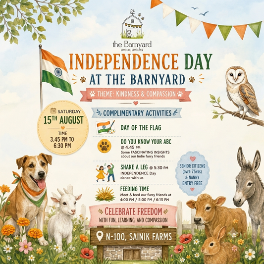 Independence Day (15 Aug) at The Barnyard | Sainik Farm New Delhi