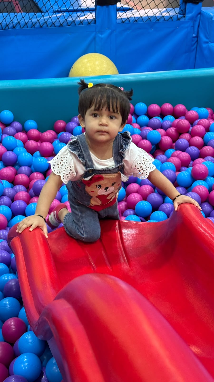 Bizzy Bees Indoor Play Area | Shahpura Thana Bhopal