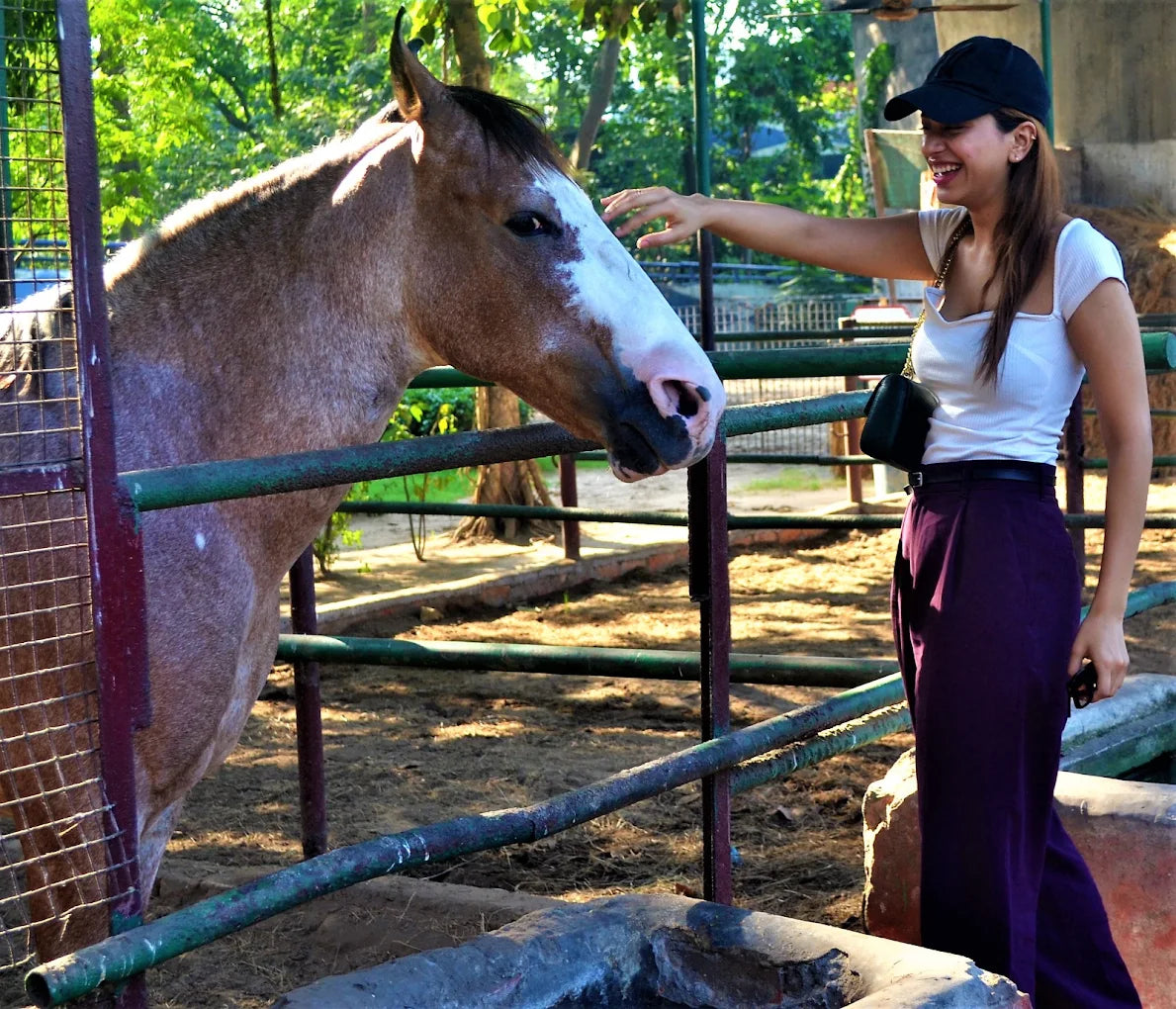 Calcutta Polo Club Horse Riding & Archery | Bangur Kolkata