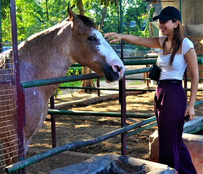 Calcutta Polo Club Horse Riding & Archery | Bangur Kolkata