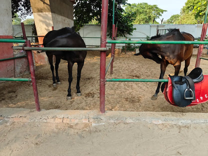 Calcutta Polo Club Horse Riding & Archery | Bangur Kolkata