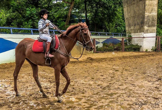 A young rider on a brown horse in a muddy arena.