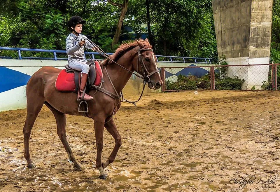 Calcutta Polo Club Horse Riding & Archery | Bangur Kolkata