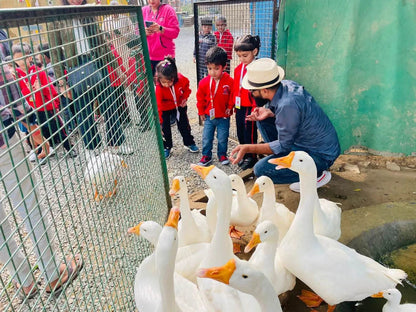 Cambridge Montessori Preschool & Daycare | Sector 4 Gurgaon - ActivityKidz