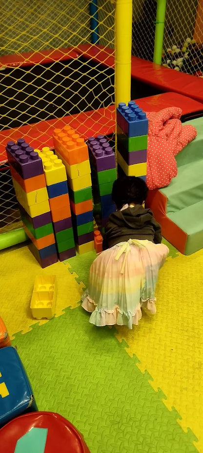 Chikoo and Cookie's Play Zone | ECIL Secunderabad Hyderabad