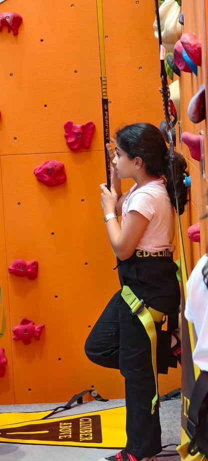 Climb Central Indoor Rock Climbing | M3M 65th Avenue Gurugram