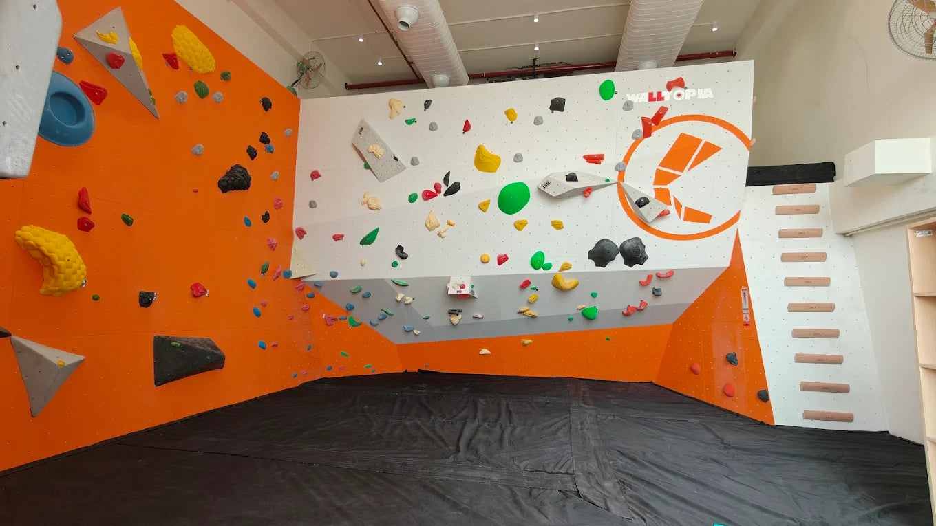 Climb Central Indoor Rock Climbing | M3M 65th Avenue Gurugram