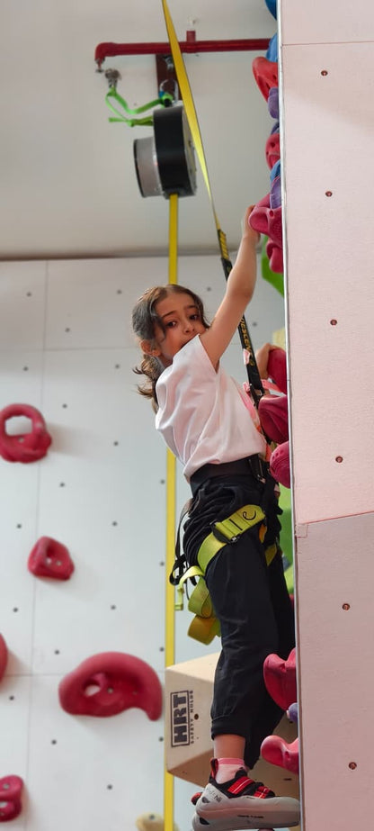 Climb Central Indoor Rock Climbing | M3M 65th Avenue Gurugram