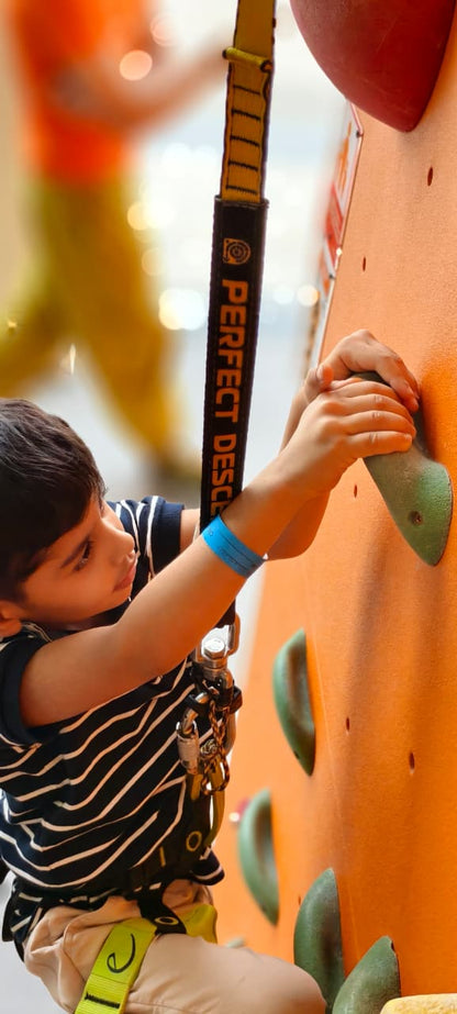 Climb Central Indoor Rock Climbing | M3M 65th Avenue Gurugram