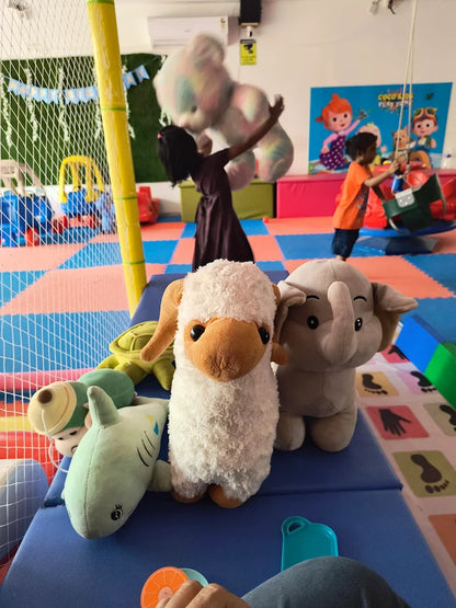 CoCo Kids Play Zone | Gandhi Nagar Secunderabad Hyderabad