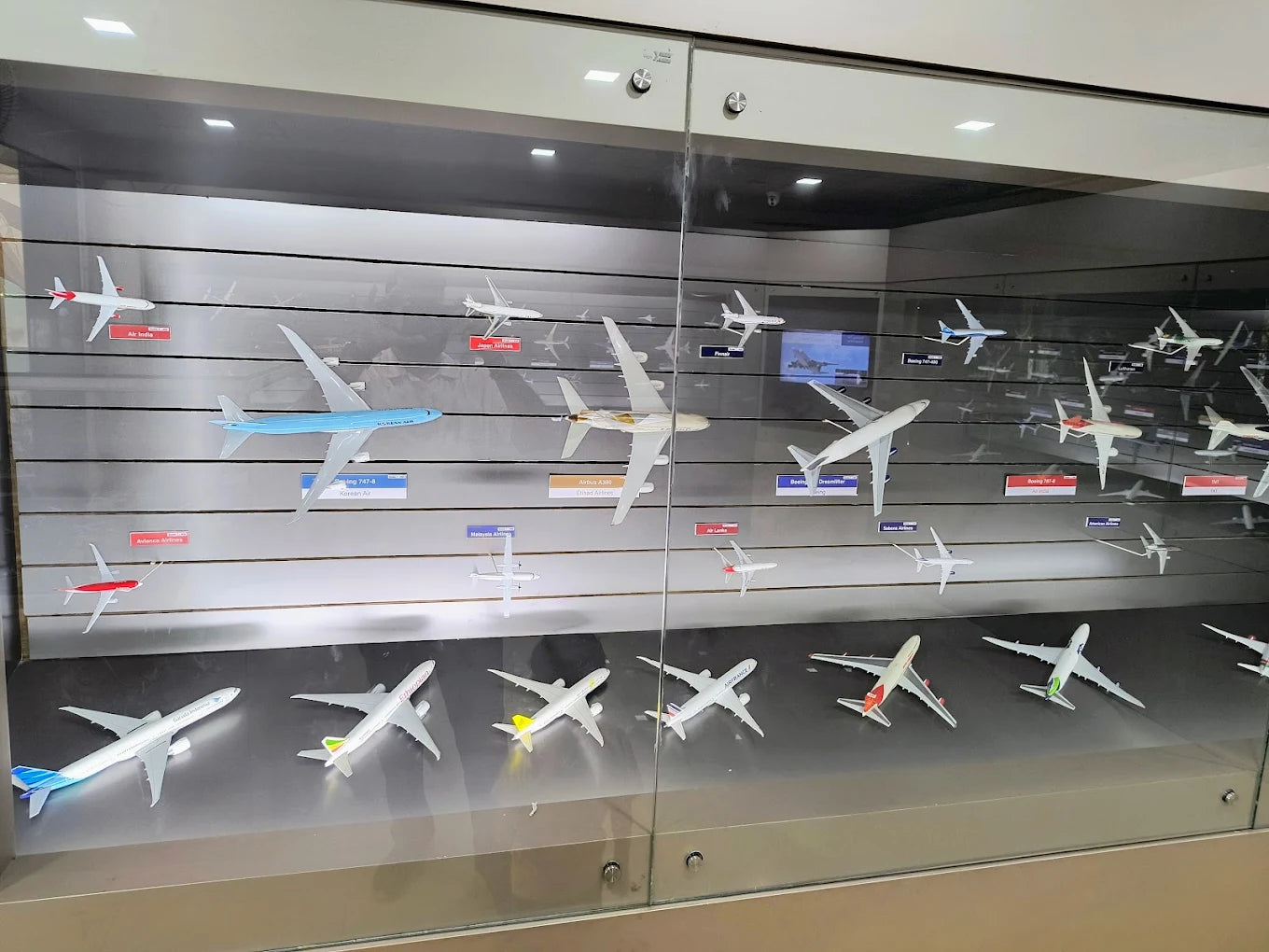 A display case filled with model airplanes of various airlines.