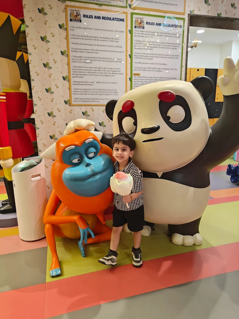 Duck Duck Goose Play Area & Arcade Games | Rajouri Garden Delhi