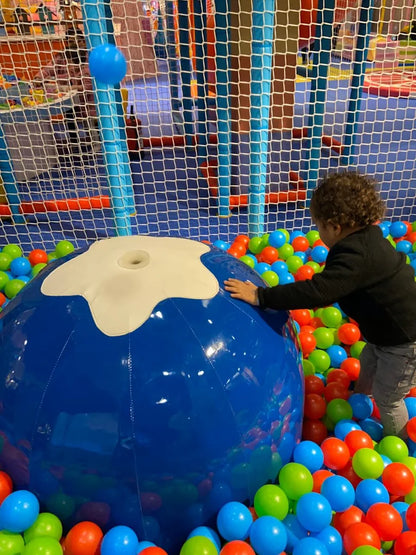 Duck Duck Goose Play Area & Arcade Games | Rajouri Garden Delhi