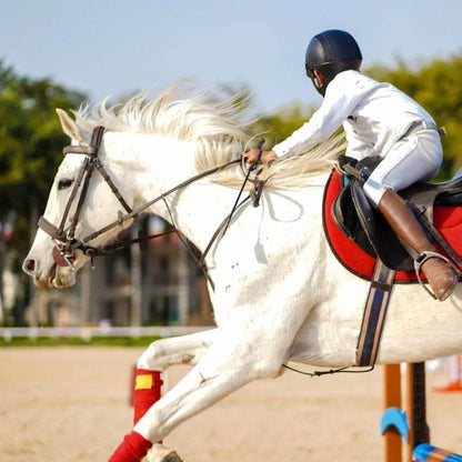 Duke Horse Riding Club | Near Heritage International Xperiential School - ActivityKidz