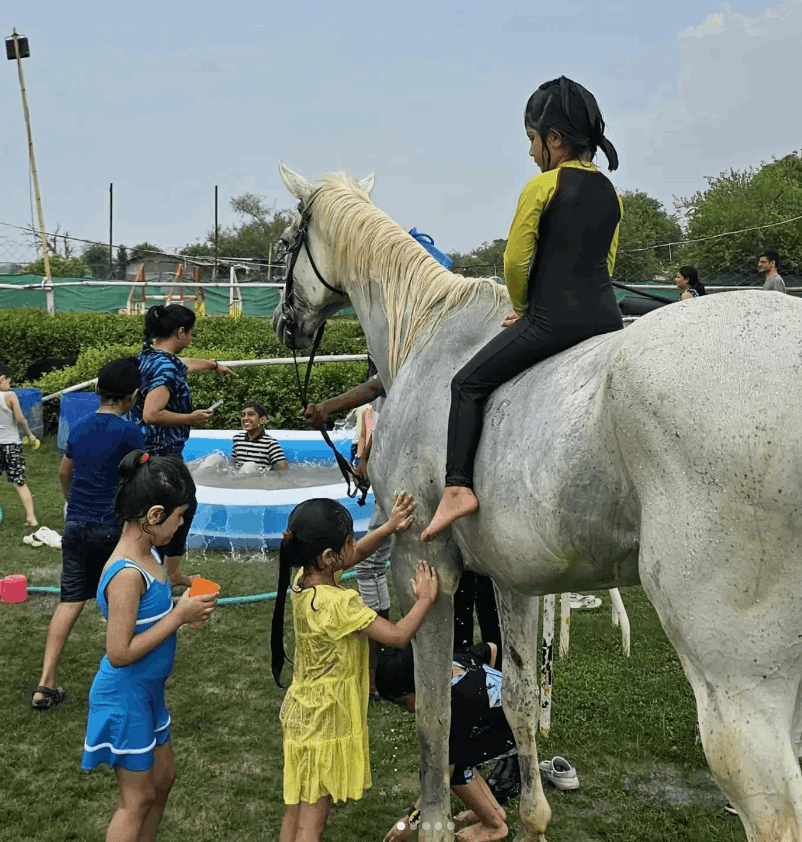 Duke Horse Riding Club