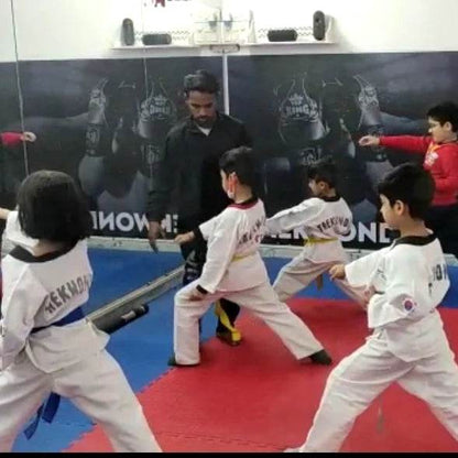 Extreme Martial Art Academy for Taekwondo & Kick-Boxing | Sector 51 Gurgaon - ActivityKidz