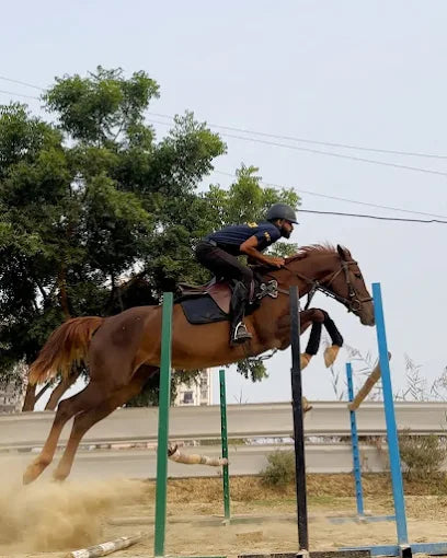 Horse Riding at Caffe Cavallo Sector 82 Faridabad