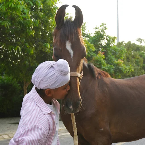 Horse Riding at Caffe Cavallo Sector 82 Faridabad